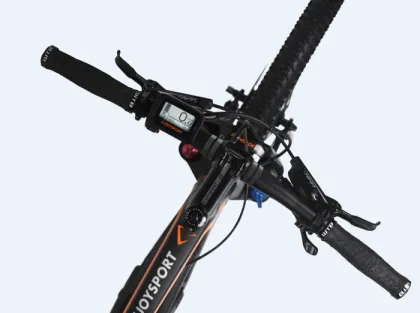 Customized Electric Cycle With Gear