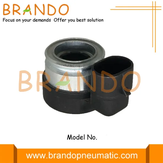 AEB Injection Rail LPG CNG Solenoid Coil DC6V