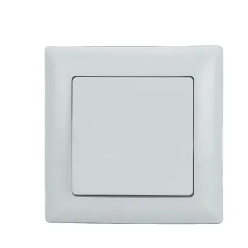 Fire Resistant ABS Material Wall Switches - 10A One Key White/Ivory