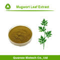 Hot Sell Mugwort Leaf Extract Aiye Leaf Powder