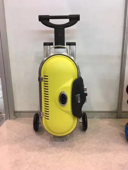 Portable 2 Burners Gas Grill with Two Side Tables with CE Certificate