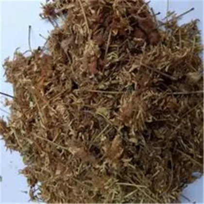 Albiziae Flos Hehuan hua Albizia julibrissin Flos