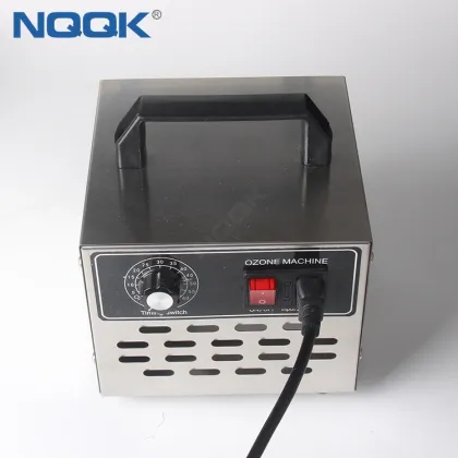 10g 220VAC Timers Stainless Steel Ozone Generator Air Disinfection Machine