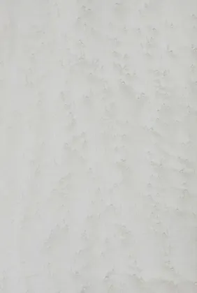 Birds Eye Maple Veneer