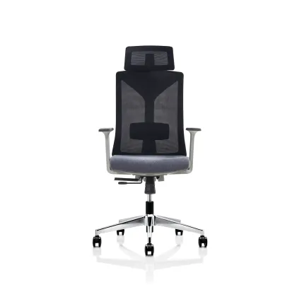Foshan Hot Sale Ergonomic Office Chair