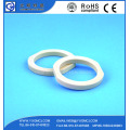 Anticorrosive Advanced 99 Alumina Ceramic Sealing Ring