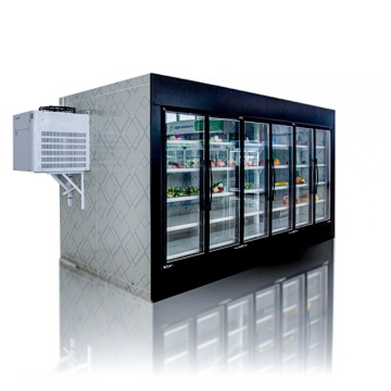 Walk-in Cooler Glass Cold Room Display
