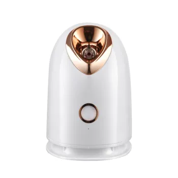 Large Water Tank Skin Deep Clean Face Humidifier