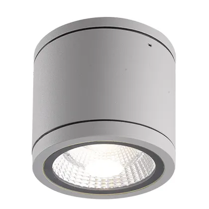 1x18W Cree LED Outdoor Ceiling Light