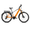 250W Motor montado en la ciudad eBike