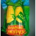 IQF yellow fresh sweet corn o dobrej jakości