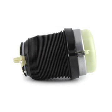 Auto Parts Rear Air Suspension Spring Bag Left or Right for Audi A6 C6
