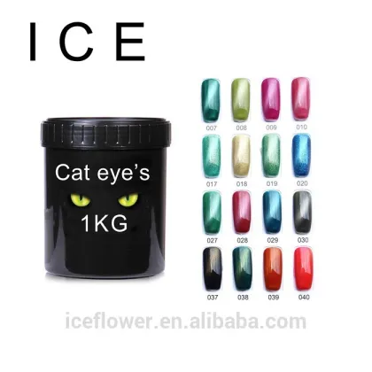 Hot Sale Nail Gel Polish 3D UV Gel cat eye nail vanish