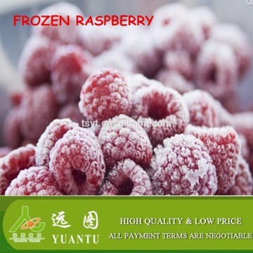 buyer request for frozen raspberry