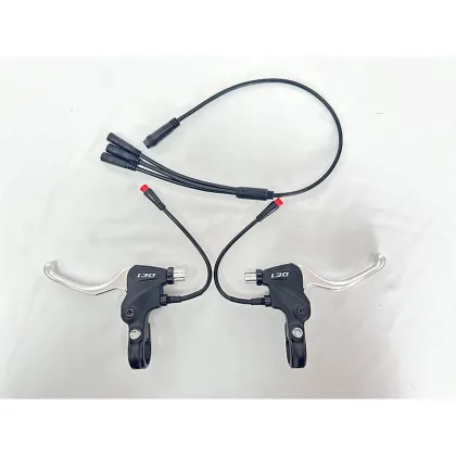 Brushless 48V Electric Bike Kit with 500W Mahle Hub Motor