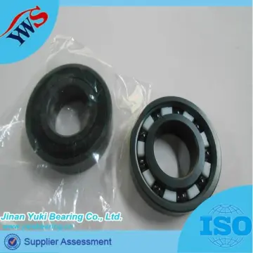 6011 Ceramic Deep Groove Ball Bearing