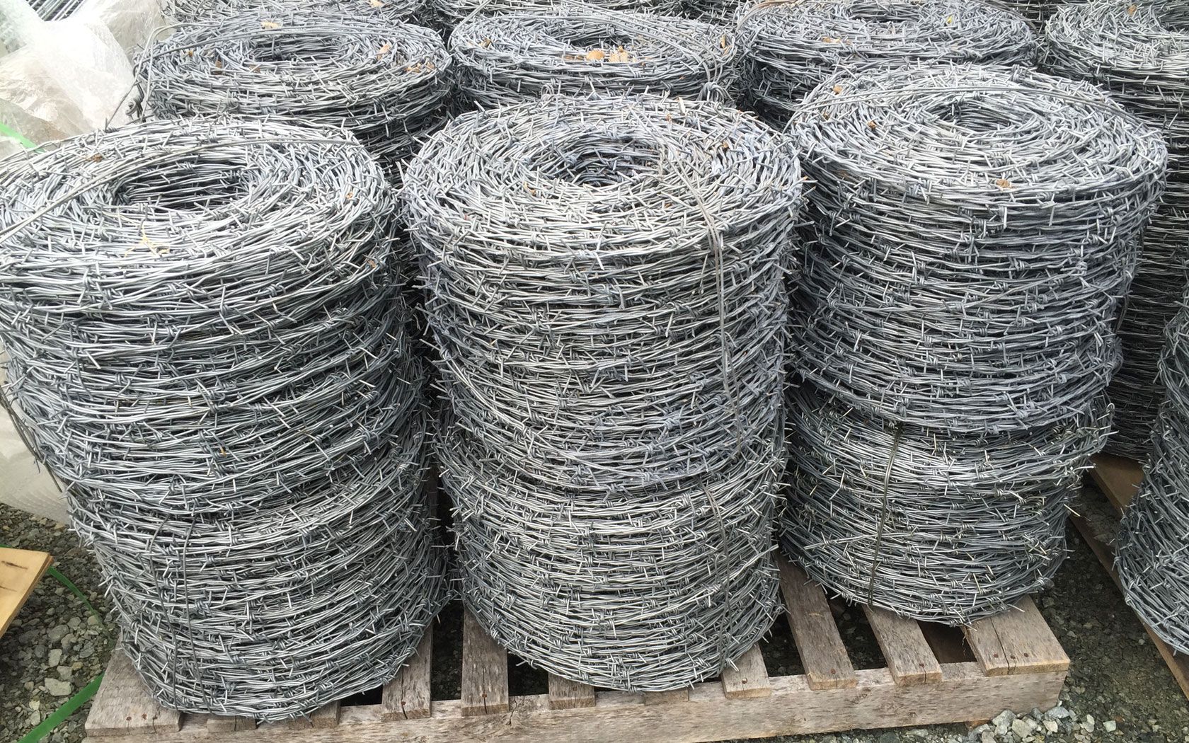 barbed wire mesh