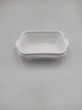 Rectangle PP Plastic Packaging Trays Blister Food Containers