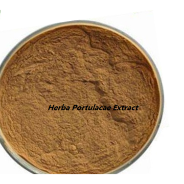 Factory price organic Herba Portulacae oleracea Extract