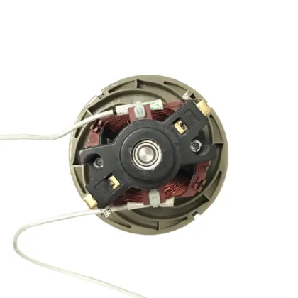 100V 110V 120V 220V 240V 600-800W Vacuum Cleaner Parts Dry  Horizontal Vacuum Cleaner Motor