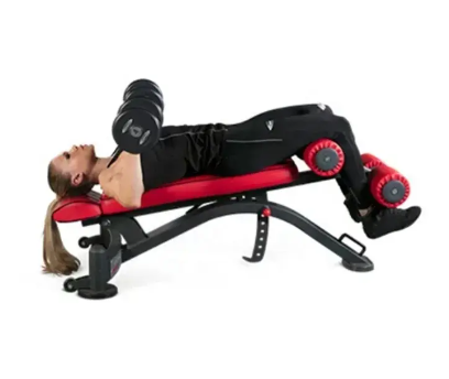 Professional Gym Equipment Multipurpose Sit Up Bench