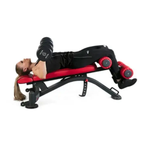 Professional Gym Equipment Multipurpose Sit Up Bench