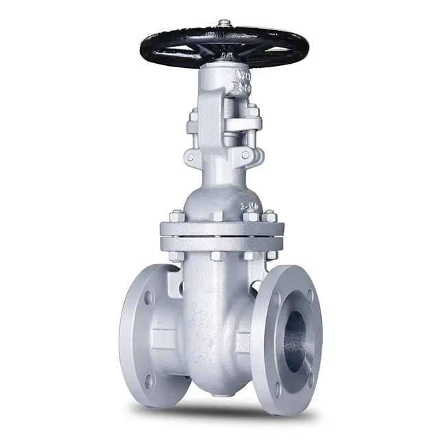 Cast Iron Steel Bellow Seal Stop Globe Valve