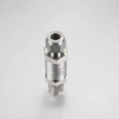 JAZZY Stainless Steel F316L Swagelok Thread NPT Female End Check Valve for Water