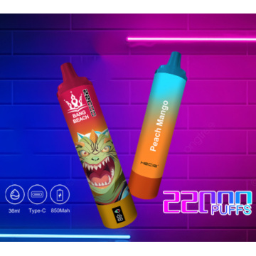 Disposable Vape Bang Beach 22000 Puffs wholesale