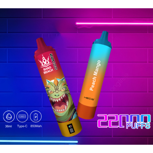 Disposable Vape Bang Beach 22000 Puffs wholesale