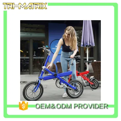 China supply professional coc road electric bike