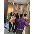 فيلم Marble Pattern Fashion Pet/PP Decorative Film