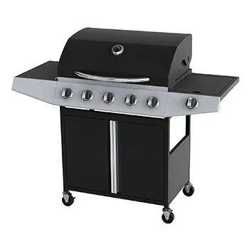 Powder Coating 5 Burners Gas Grill with Side Burner