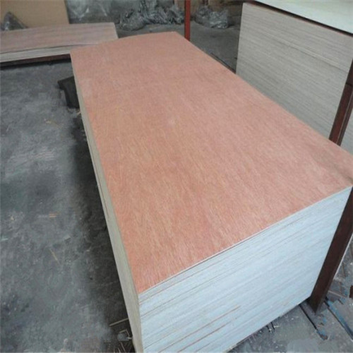 Bintangar commercial veneer plywood wholesale