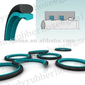 Trelleborg Turcon Stepseal 2K