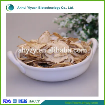 Traditional Chinese medicinal decoction pieces angelica sinensis (Danggui)