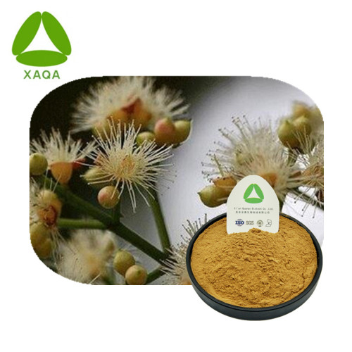 Flos Cleistocalycis Extracto Polvo Herbal Chino