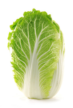 2014 Fresh Chinese Cabbage
