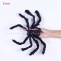 50cm black spider