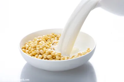 Soy Milk Machine: Soy Milk Grinding Machine Grinder