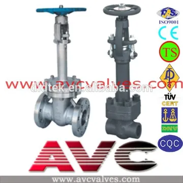 AVC Cryogenic LCB Gate valve and Forged Steel Gate Valve