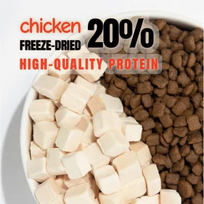 Balanced Diet Dog Food for Every Age