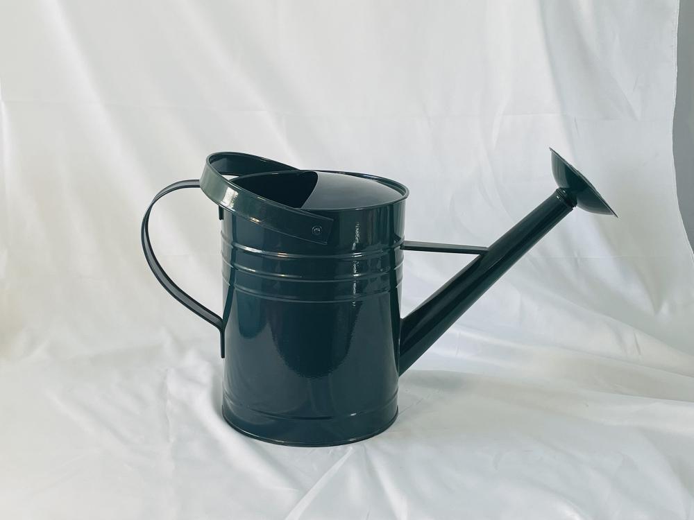 Household gardening metal watering can