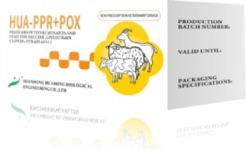 PPR And Goat Pox Vaccine, Live