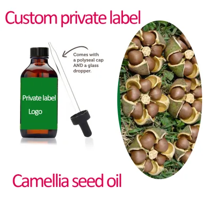 100% Nature Camellia Seeds Oil Oriental Olive Oil for sale