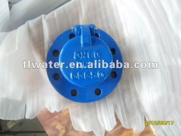 Cast iron flap valve