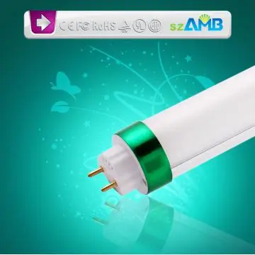 Olympic Games used LED T10 Tube