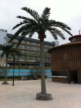 Artificial Coconut Palm Trees for Outdoor Royal Palm Decoration
