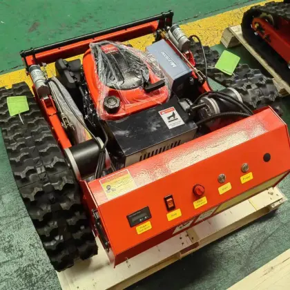 Robotic Lawn Mower Controller