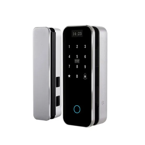 Digital Fingerprint Smart Remote Door Lock for Outdoor and Hotel Glass Doors
